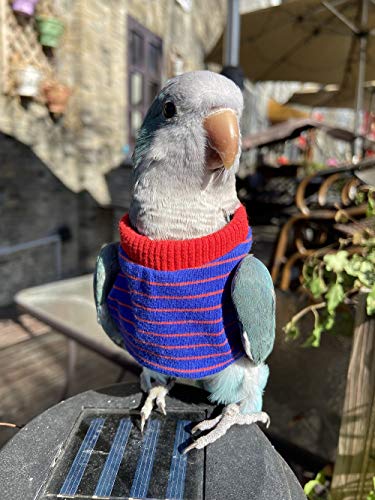 HEZHUO Bird Clothes， Parrot Bird Supplies, Light Flying Clothes, Warm and Comfortable, Tiger Skin, Green Cheek Parrot, Little Sun Parrot, Monk Parrot, Starling, mynah, Senegal Parrot, Mini Macaw (L)