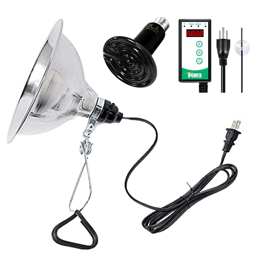 Simple Deluxe 150W Reptile Ceramic Heat Bulb with 8.5 Inch Clamp Lamp and Digital Thermostat Controller Combo Set for Incubating Chicken & Amphibian Pet