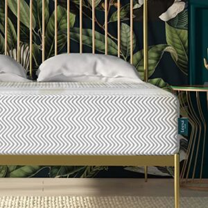 leesa legend hybrid 12" mattress, king size luxury dual hybrid/certipur-us certified/with organic cotton mattress cover / 100-night trial,white