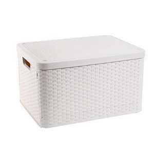 foldable storage box，decorative storage baskets，decorative storage bins，containers with lids for organizing，storage boxes