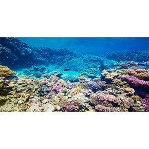 awert 48x24 inches underwater aquarium background coral reef undersea fish tank background polyester background