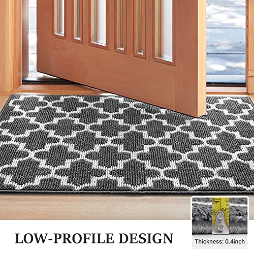 WISELIFE Door Mat Indoor Outdoor Floor Mat,24 inchx36 inch,Non-Slip Absorbent Front Back Doormat Entryway Rugs,Low Profile Resist Dirt Door Mats for Home,Entrance,Garage, (Black)