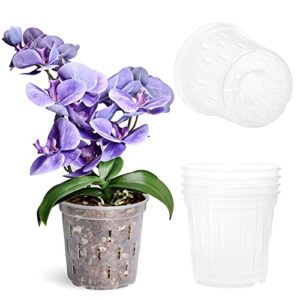 truedays clear orchid pot (4-pack) - 6 inch orchid pots with holes - plastic plant pots for orchid, plants, flower