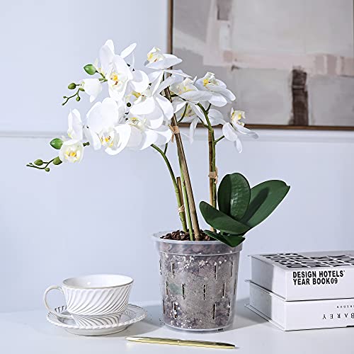 TRUEDAYS Clear Orchid Pot (4-Pack) - 6 inch Orchid Pots with Holes - Plastic Plant Pots for Orchid, Plants, Flower