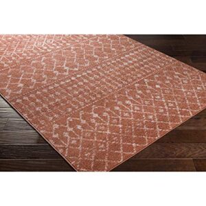 Artistic Weavers Elsie Global Bohemian Area Rug, 5 ft (3 in) x 7 ft (3 in), Burnt Orange