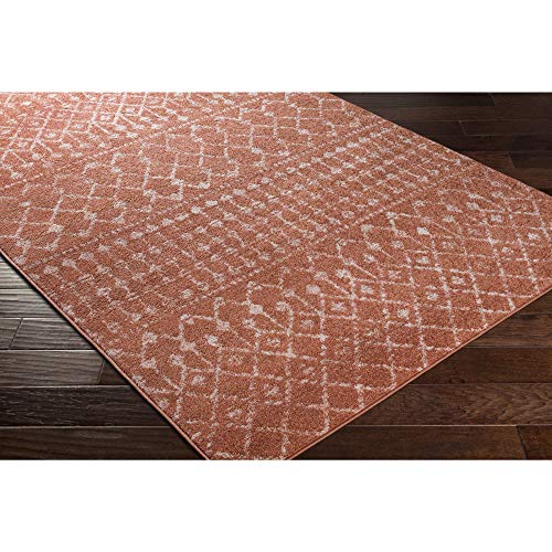 Artistic Weavers Elsie Global Bohemian Area Rug, 5 ft (3 in) x 7 ft (3 in), Burnt Orange