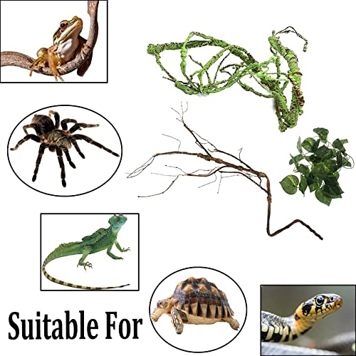 PINVNBY Reptile Vines Plants Bendable Jungle Climbing Vine Terrarium Plastic Plant Leaves Pet Habitat Decor for Bearded Dragons Lizards Geckos Snakes Hermit Crab Frogs and More Reptiles