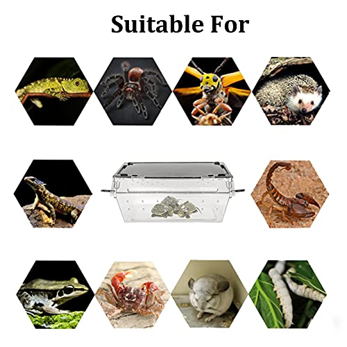 PINVNBY Reptile Feeding Box Transparent Snake Breeding Box Plastic Lizard Hatching Container Portable Gecko Habitat for Spiders Scorpions Frogs Tarantulas Turtles Hideout 9.4×4.1×3.9  