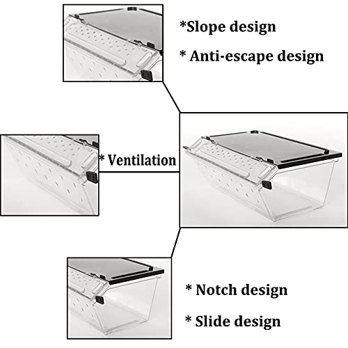 PINVNBY Reptile Feeding Box Transparent Snake Breeding Box Plastic Lizard Hatching Container Portable Gecko Habitat for Spiders Scorpions Frogs Tarantulas Turtles Hideout 9.4×4.1×3.9  