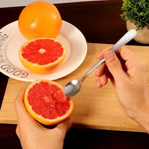 5 PCS Grapefruit Spoons, Stainless Steel Grapefruit Spoon Utensil Set, Serrated Edge & Thick Gauge Handle, Silver Kitchen Tool with Non-stick Plating for Kiwi, Dessert, Apple, Citrus Fruit