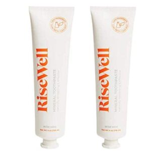 Japanese Style Toothpaste, RiseWell, Natural