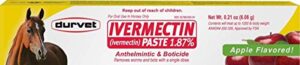 durvet ivermectin paste dewormer - 6.08g dose @ 1.87 apple flavor (6.08 gram) (6.08 gram) (improved6.08 gram), 0.21 ounce (pack of 1)