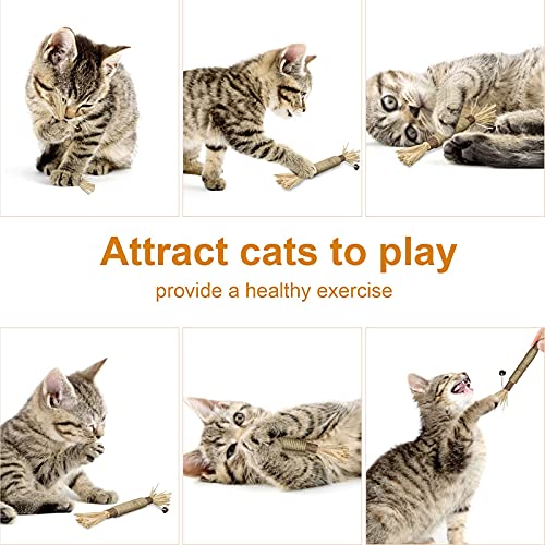 ELOPAW 3 Pack Silvervine Sticks Cat Toys for Indoor Cats Interactive Silvervine for Cats Catnip Toys for Indoor Cats Chew Toy for Cat Teeth Cleaning Kitten Teething