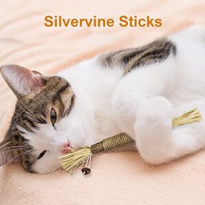 ELOPAW 3 Pack Silvervine Sticks Cat Toys for Indoor Cats Interactive Silvervine for Cats Catnip Toys for Indoor Cats Chew Toy for Cat Teeth Cleaning Kitten Teething