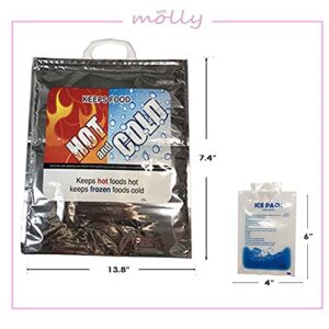 Withmolly Thermal Insulated Bag (Hot Cold Bag) Food Storage & Carry Bags Reusable Lunch Bags with ice pack (3, 13.8''x17.7'')