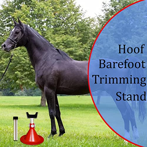 AAProTools Standard Size Farrier Stand Equine Trimming Shoeing Barefoot With Free Hoof Knife Gift