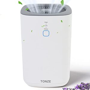 air purifier large room home, dual 3 stage h13 true hepa air filter, 3 fans speed, up to 430ft² purification, quiet sleep mode, 99.97% against for pollen dust smoke pet hair odor