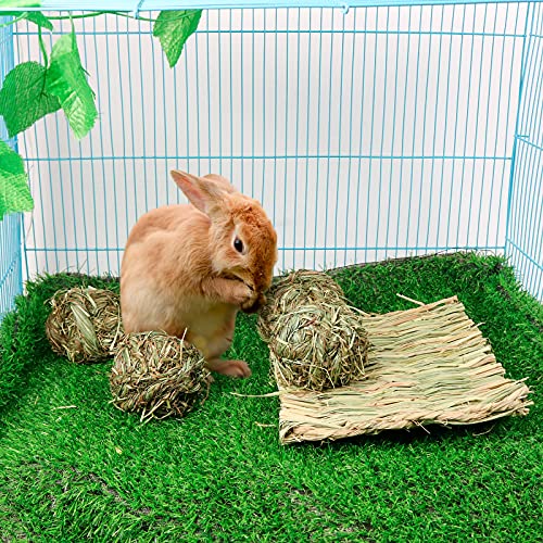 6PCS Bunny Chew Ball Toys,Rabbit Timothy Grass Grinding Gnawing Treats Rolling Ball & 2 Pcs Grass Woven Pet Mats for Bunny Rabbits Chinchilla Hamster Guinea Pigs Gerbils Activity Play Toys (H01)