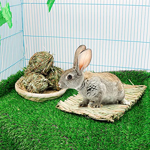 6PCS Bunny Chew Ball Toys,Rabbit Timothy Grass Grinding Gnawing Treats Rolling Ball & 2 Pcs Grass Woven Pet Mats for Bunny Rabbits Chinchilla Hamster Guinea Pigs Gerbils Activity Play Toys (H01)