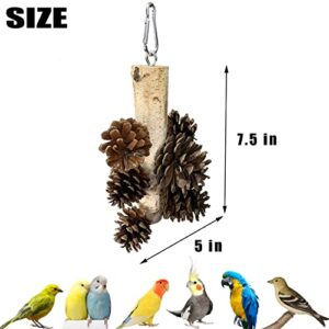 kathson Bird Chewing Toys Natural Pine Cones Hanging Foraging Toys Parrot Tearing Toys for Parakeet Cockatiel Conure African Grey Parrot Lovebirds Budgies Cockatoos