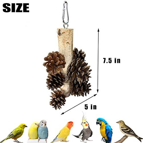 kathson Bird Chewing Toys Natural Pine Cones Hanging Foraging Toys Parrot Tearing Toys for Parakeet Cockatiel Conure African Grey Parrot Lovebirds Budgies Cockatoos
