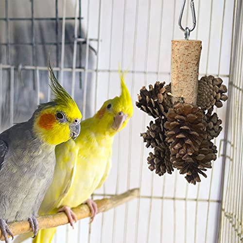 kathson Bird Chewing Toys Natural Pine Cones Hanging Foraging Toys Parrot Tearing Toys for Parakeet Cockatiel Conure African Grey Parrot Lovebirds Budgies Cockatoos