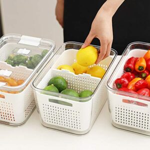 N 3 PACK Produce Saver Storage Containers, Vegetable Storage Containers Fruit and Salad Partitioned Food Storage Container with Vents Stay Fresh Containers for Refrigerator