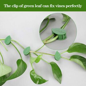 60 Pieces Plant Climbing Wall Fixture Clips with 72 Pieces Acrylic Adhesive Sticker Plant Fixer Invisible Wall Vines Fixing Clips Self-Adhesive Hook Plant Vine Traction for Indoor Outdoor Decoration