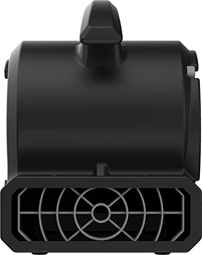 Lasko BlueDri Portable 1/8 HP Mini Multi-Purpose Air Mover Blower Utility Fan for Home, Carpet and Floor Drying, Black, BD-VP-15-BK