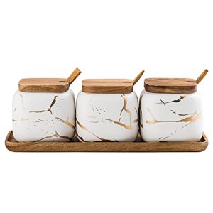 KIDYBELL Ceramic Spice Jars Porcelain Condiment Jars Set Marble Ceramic Seasoning Box 3pcs Condiment Pots for salt, sugar, pepper Kitchen Ceramic Seasoning Condiment Jar Set