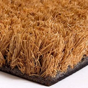 Ecomills Coco Coir Door Mat, 24" x 36" x 0.5", Heavy Duty, Indoor Outdoor, Large Size, Non-Slip Backing, Mats for Entry Ways, Garage, Floors, Patio, Entrance Areas