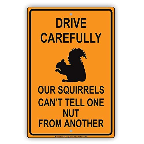 The high quality Outdoor Warning Signs Drive Carefully Our Squirrels Can't Tell One Nut from Another Humor Funny Caution 8×12 inches Metal tin Signs for Industrial Road Safety W080