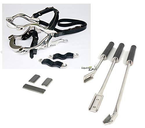 Equine Dental Kit Hau'sman Speculum and 3 Floats with Blades.