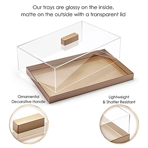 Elavain Acrylic Cake Stand | Multifunctional Serving Tray | Elegant Rose Gold Food Tray with Clear Lid | Perfect as a Cake Box and Serving Platter for Party, Home and Kitchen | Shatter Resistant