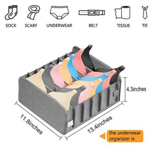 Coopay 2 Pack Underwear Drawer Organizer Foldable Closet Underwear Organizer Bra Organizer Drawer Divider for Ties Socks Bra Clothes Storage with Washable Fabric (Gray and Pink)