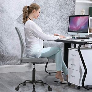 Hudada Simple Mesh Office Chair, Ergonomic Office Chair Armless Home Office Chair Adjustable Computer Chair Task Rolling Swivel Chair Black Desk Chair for Working, Meeting - Grey