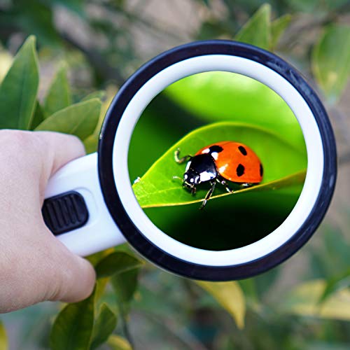 TMANGO Magnifying Glass with Light, 30X Handheld Large Magnifying Glass 12 LED Lighted Magnifier for Macular Degeneration, Seniors Reading, Soldering, Inspection, Coins, Jewelry, Exploring