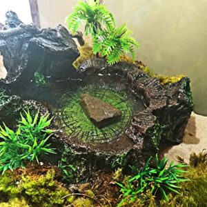 DOHAOOE Reptile Tank Accessories Habitat Water Dish Tree Trunk and Artificial Arched Rock Bridge for Bearded Dragon Leopard Gecko Lizard Snake Chameleon Hermit Crab Ball Python Water Frog Turtle