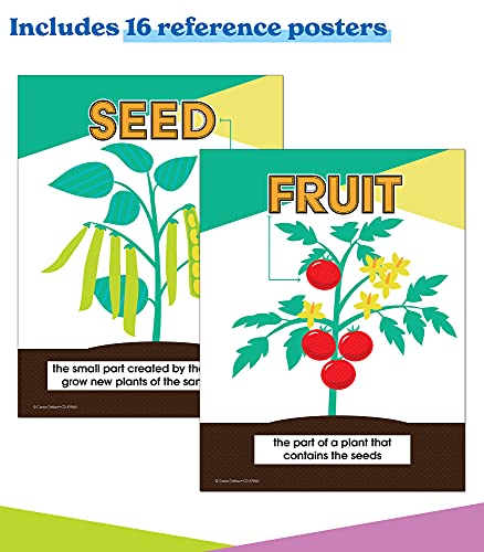 In A Flash Plants Science Instructional Resources—Flash Drive With Lessons, Labs, Observation Journal, Templates, Songs, Posters, STEM Challenge, Plant E-Books, Grades K-2 (191 pgs)