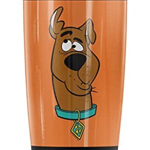 Logovision Scooby-Doo Confused Stainless Steel Tumbler 20 oz Coffee Travel Mug/Cup, Vacuum Insulated & Double Wall with Leakproof Sliding Lid | Great for Hot Drinks and Cold Beverages