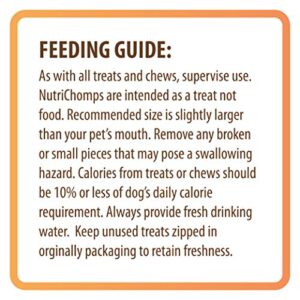 NutriChomps Dog Chews 5-inch Twists, Easy to Digest, Rawhide-Free Dog Treats, Real Peanut Butter Flavor & Real Chicken Flavor (NT112V) - 10 Count (Pack of 2)