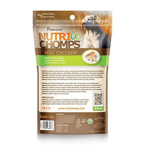 NutriChomps Dog Chews 5-inch Twists, Easy to Digest, Rawhide-Free Dog Treats, Real Peanut Butter Flavor & Real Chicken Flavor (NT112V) - 10 Count (Pack of 2)