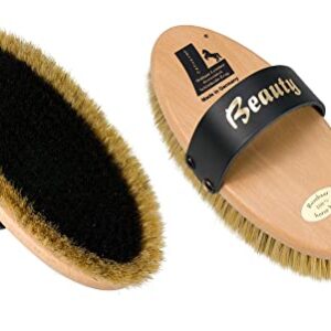 William Leistner Leistner Premium Quality Horse Grooming Brush Set (5)