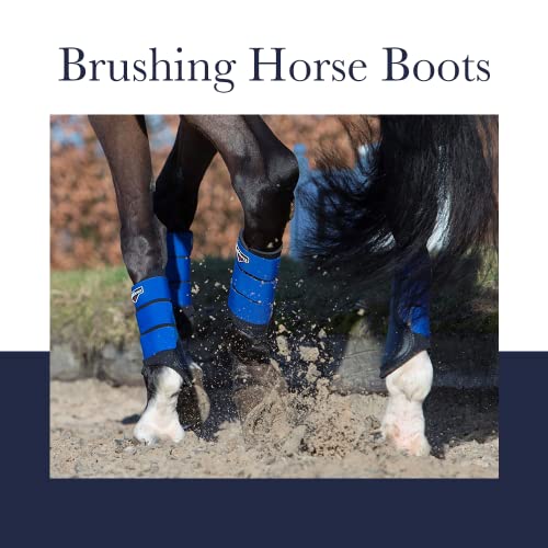 LeMieux Grafter Brushing Horse Boots - Protective Gear and Training Equipment - Equine Boots, Wraps & Accessories (Azure - Large)