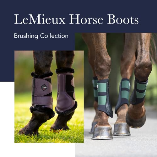 LeMieux Grafter Brushing Horse Boots - Protective Gear and Training Equipment - Equine Boots, Wraps & Accessories (Azure - Large)