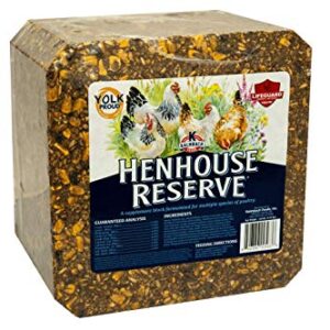 Kalmbach Feeds Henhouse Reserve Supplement Treat Block for Chickens, 20 lb