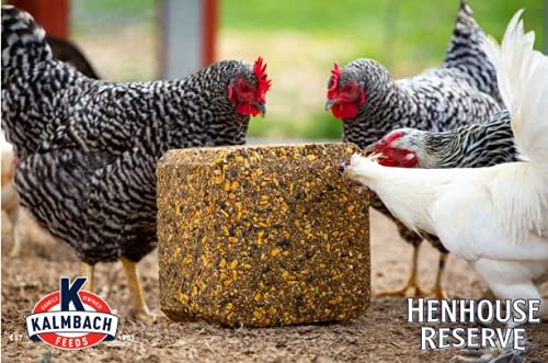 Kalmbach Feeds Henhouse Reserve Supplement Treat Block for Chickens, 20 lb