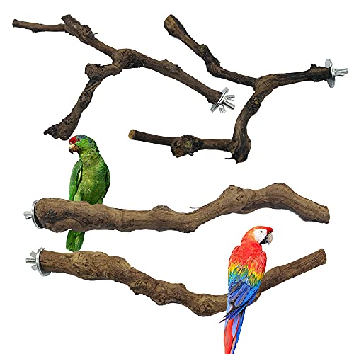 NA Seasonsky 4 PCS Natural Grape Stick Fork Bird Perch Bird Standing Stick Chewing Bird Toys Natural Grapevine Bird Cage Perch for Parrot Cages Toy for Cockatiels, Parakeets, Finches