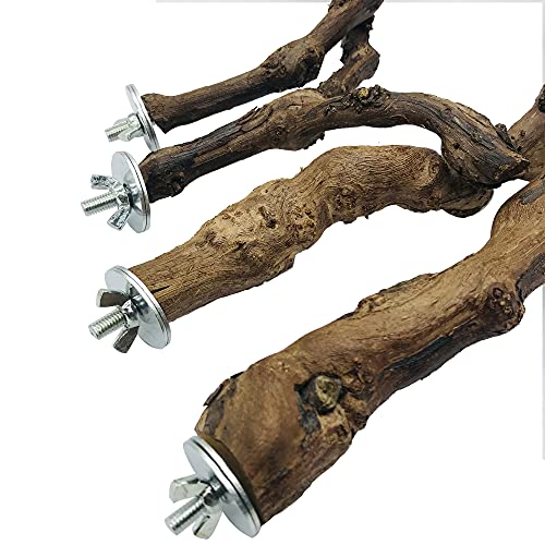 NA Seasonsky 4 PCS Natural Grape Stick Fork Bird Perch Bird Standing Stick Chewing Bird Toys Natural Grapevine Bird Cage Perch for Parrot Cages Toy for Cockatiels, Parakeets, Finches