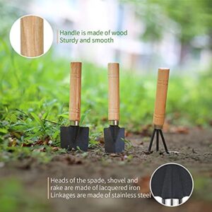 5Pcs Succulent Tools,Mini Garden Tools,Pruning Scissors as Plant Accessories,Succulent Gardending Hand Tools Kit for Seedling Soil,Caring Succulent,Houseplent,Bonsi,Gifts for Woman and Man